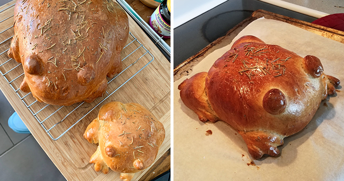 30 People Share Their Attempts At The Latest Trend – Baking Frog Bread