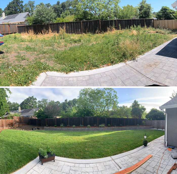 Before and after of my marathon of a backyard project