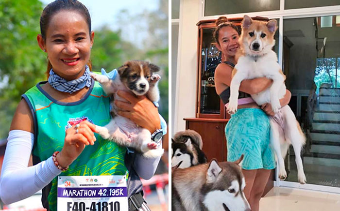 Khemjira encontró este cachorro abandonado en la carretera en Tailandia, mientras corría una maratón. Lo llevó encima el resto de la carrera hasta acabar y luego lo adoptó