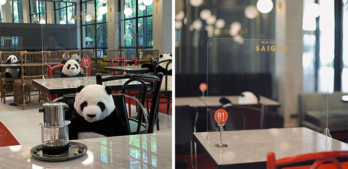 Maison Saigon Placed Plush Pandas In The Restaurant So That People Have To Sit At A Safe Distance