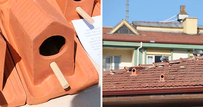 These Multipurpose Roof Tiles Also Provide A House For Birds