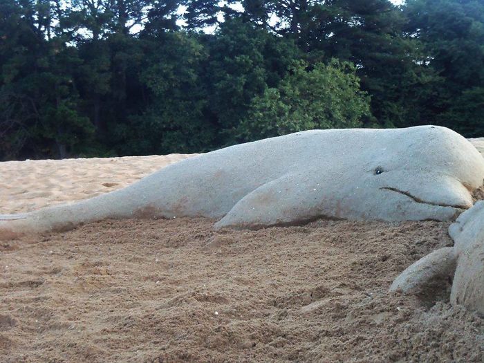 Sand Artist Creates Detailed Sculptures That You Could Easily Mistake For Live Animals If You Saw Them From A Distance