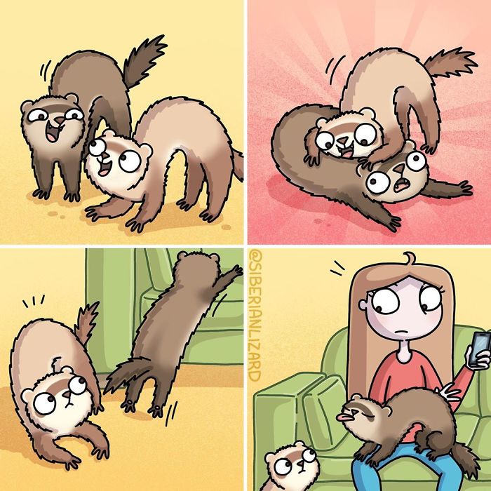 Funny-Ferrets-Comics-Siberian-Artist-Liza-Nechaeva
