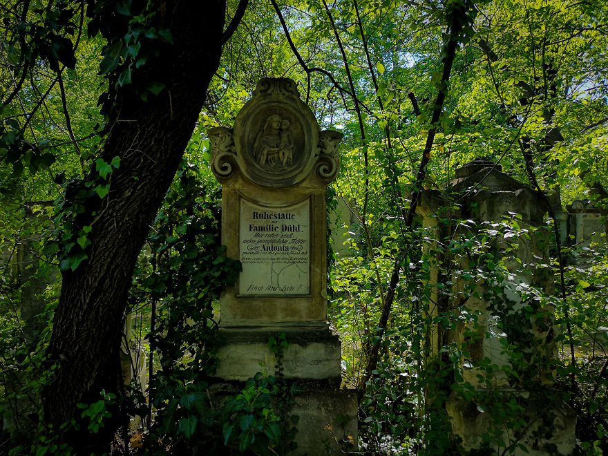 22 Photos Showing The Overgrown Cemetery Of Mozart Burial Place