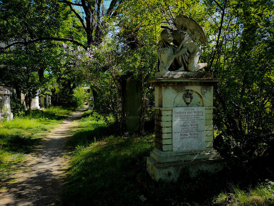 22 Photos Showing The Overgrown Cemetery Of Mozart Burial Place