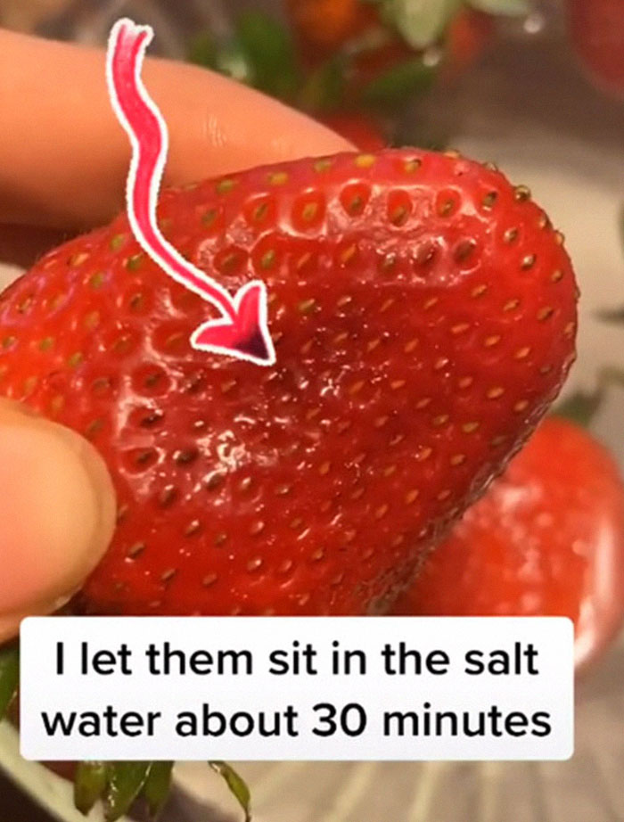 Apparently, If You Put Strawberries Into Salt Water, Tiny Bugs Come Out Of Them