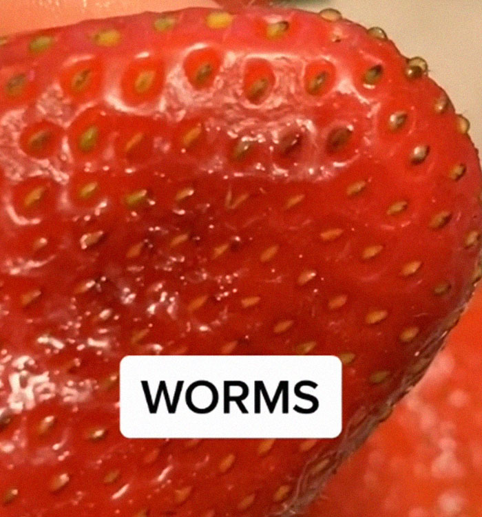 Apparently, If You Put Strawberries Into Salt Water, Tiny Bugs Come Out Of Them