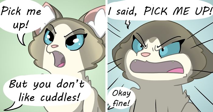 My 26 Comics That You Will Probably Relate To If You Have A Cat | Bored  Panda