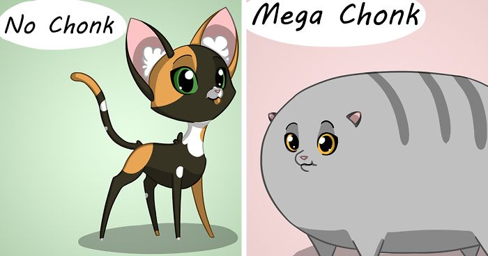 My 26 Comics That You Will Probably Relate To If You Have A Cat