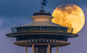 27 People Took Stunning Photos Of The Last Supermoon Of 2020