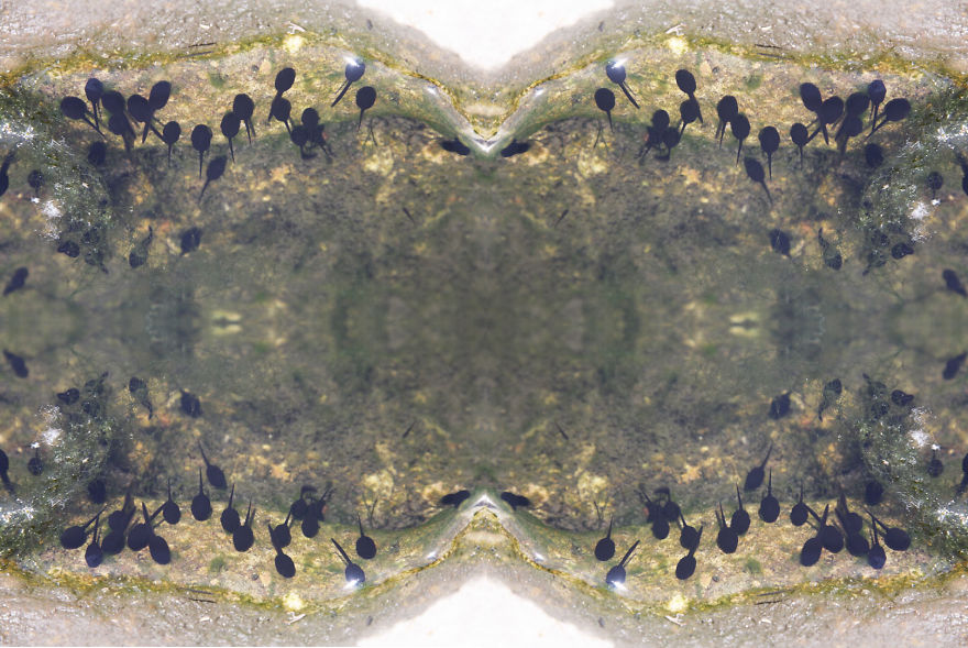 Mirroring My Eyes: An Attempt To Make My Daily Same Route Lockdown Walk More Bearable. Mirroring My Eyes: An Attempt To Make My Daily Same Route Lockdown Walk More Bearable.
