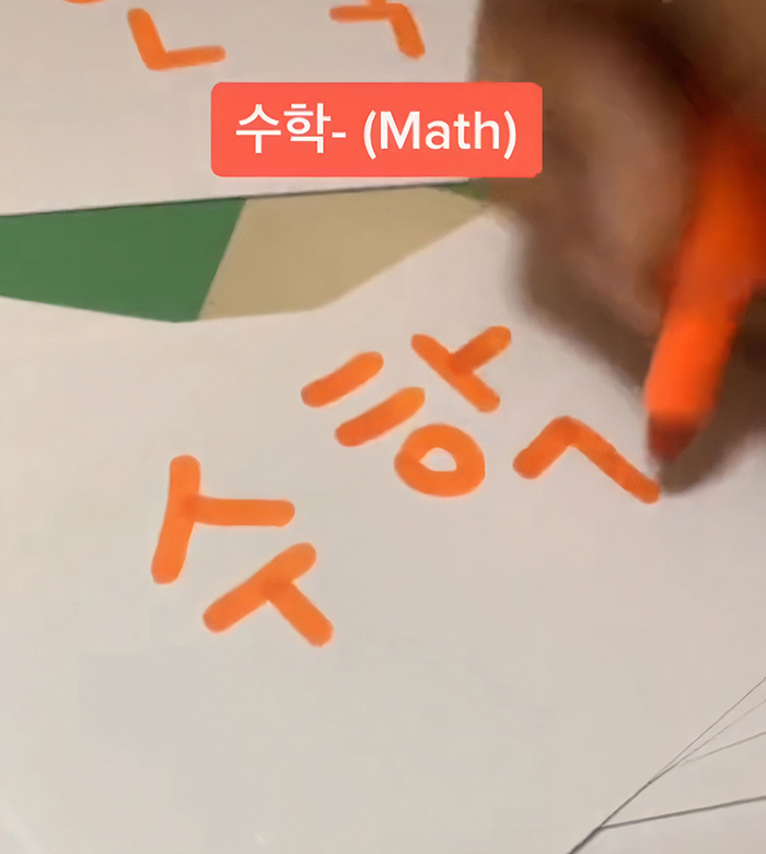 This 16 Y.O. Uses TikTok To Tutor His 600k Followers Math And Science