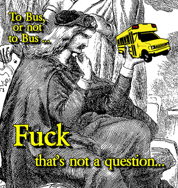 To Bus Or Not To Bus