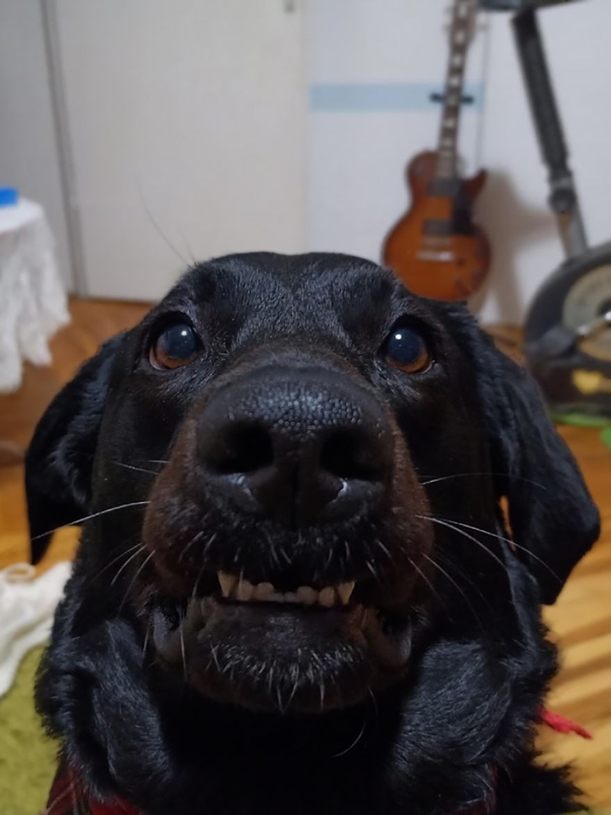 Aska's Teefs!