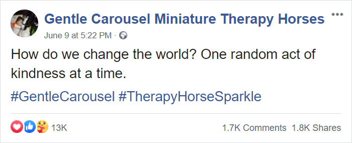 Therapy Page Posts A Pic Of A Black Girl With A Horse, Receives Racist Comments, Shuts Them Down