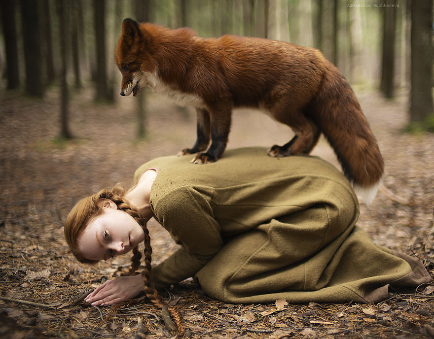 I Photograph Beautiful Redheads With Fiery Foxes 12 New Pics Bored Panda