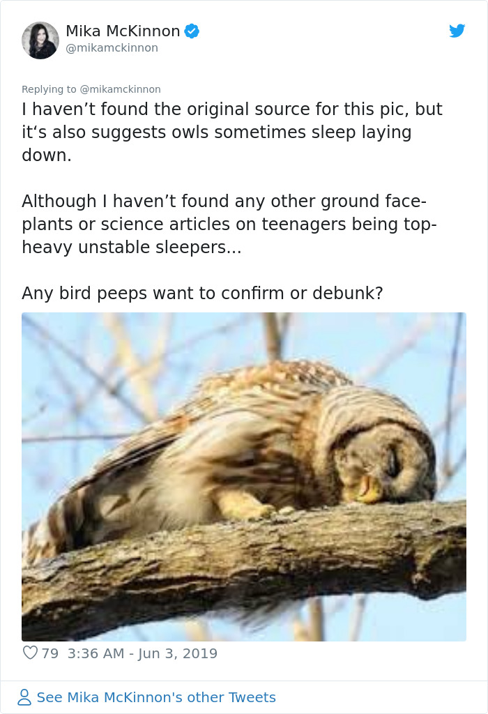 Baby Owls Sleep Face Down