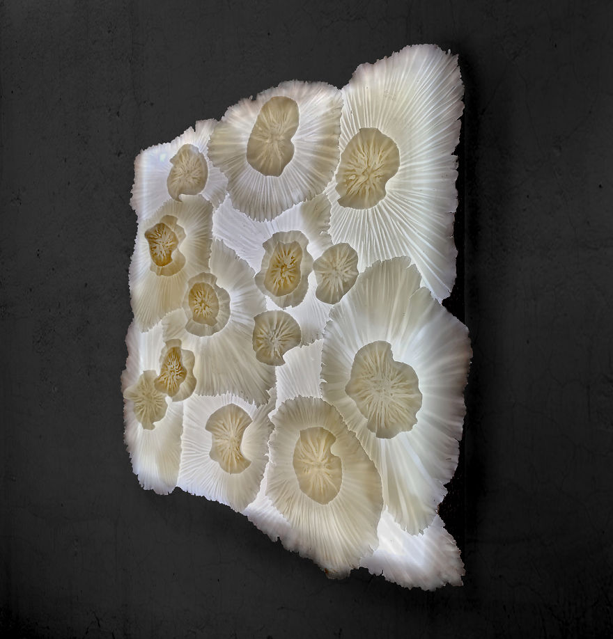 I Tell Stories Through Light Installations Constructed With Porcelain