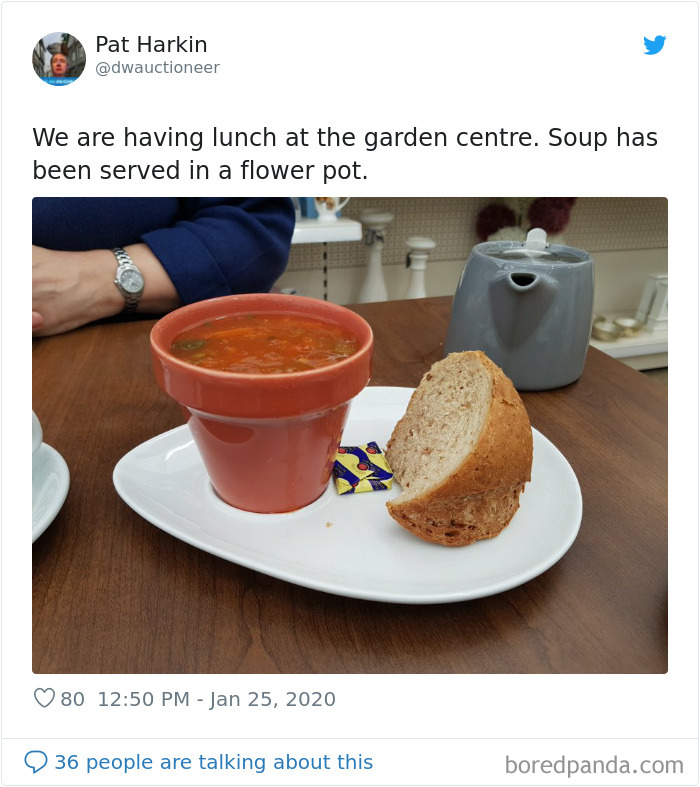 Soup Has Been Served In A Flower Pot