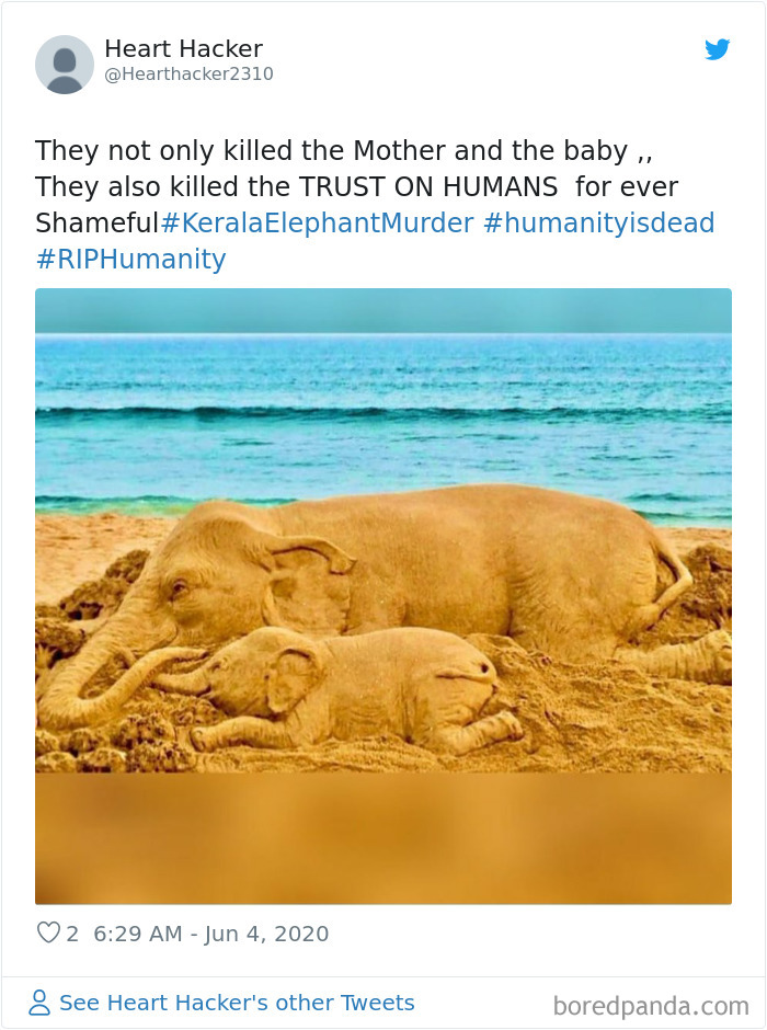 Pregnant-Elephant-Dies-Eats-Pineapple-Filled-With-Firecrackers-Artists-Pay-Tribute