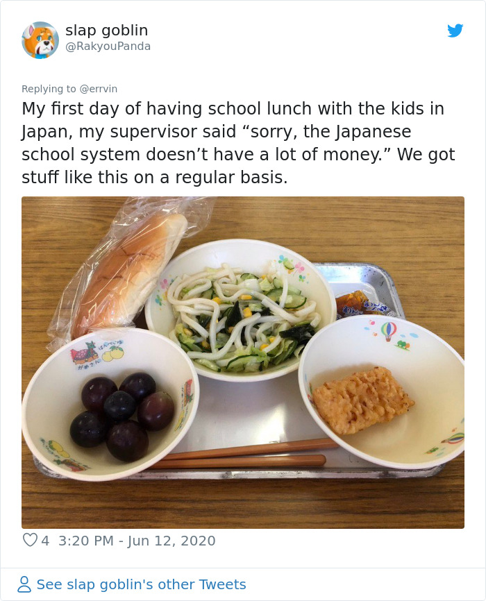 18 People Compare Some School Lunches, Show That US Education Is Underfunded While Their Police Is Overfunded