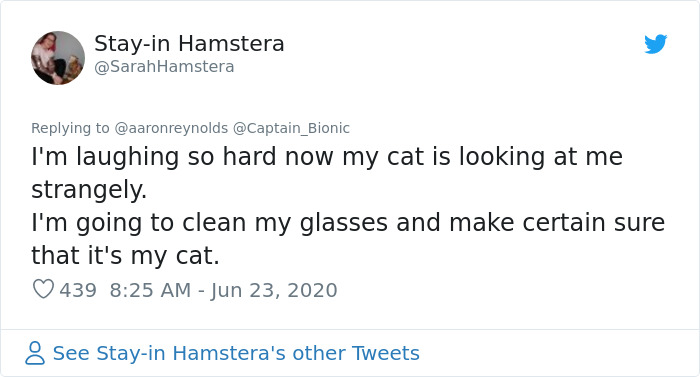 Guy With Poor Eyesight Thinks His Cat Is Climbing Into A Hammock, Realizes It's An Unwelcome Guest Too Late
