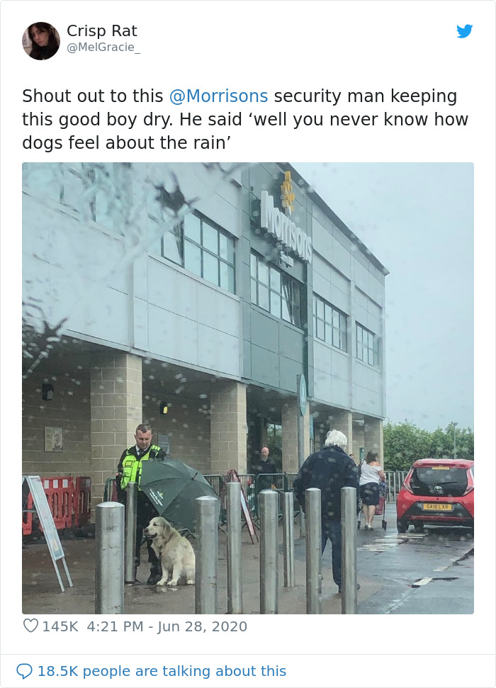 Security Guard For A Morrisons Store Goes Viral For Shielding A Waiting Dog From The Rain With His Umbrella