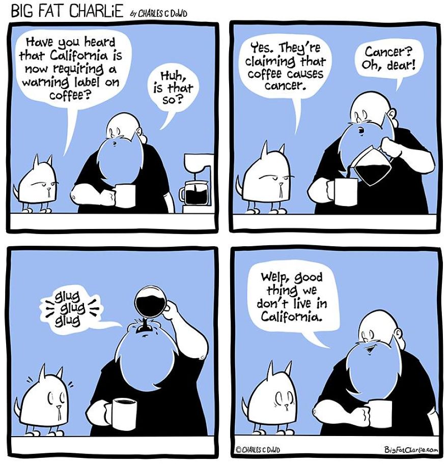 13 Comics About Being Fat, Having Diabetes, And A Cat