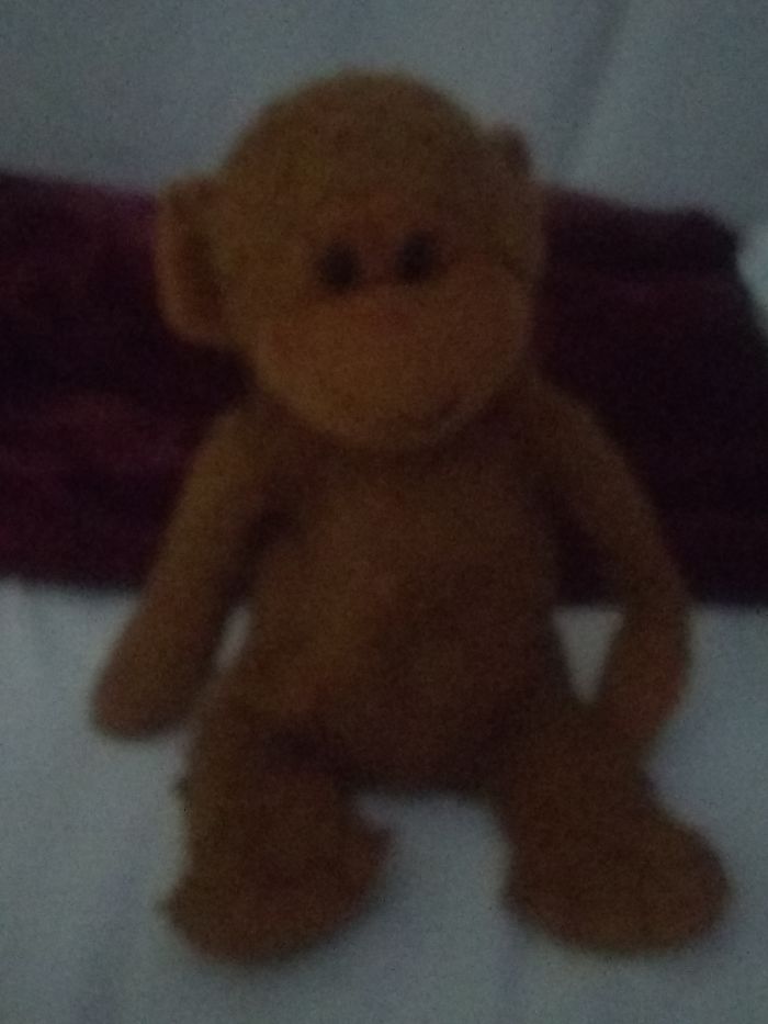 Meet Mr.johnson. My Favorite Stuffed Animal Ever. I Got Him When I Was A Baby