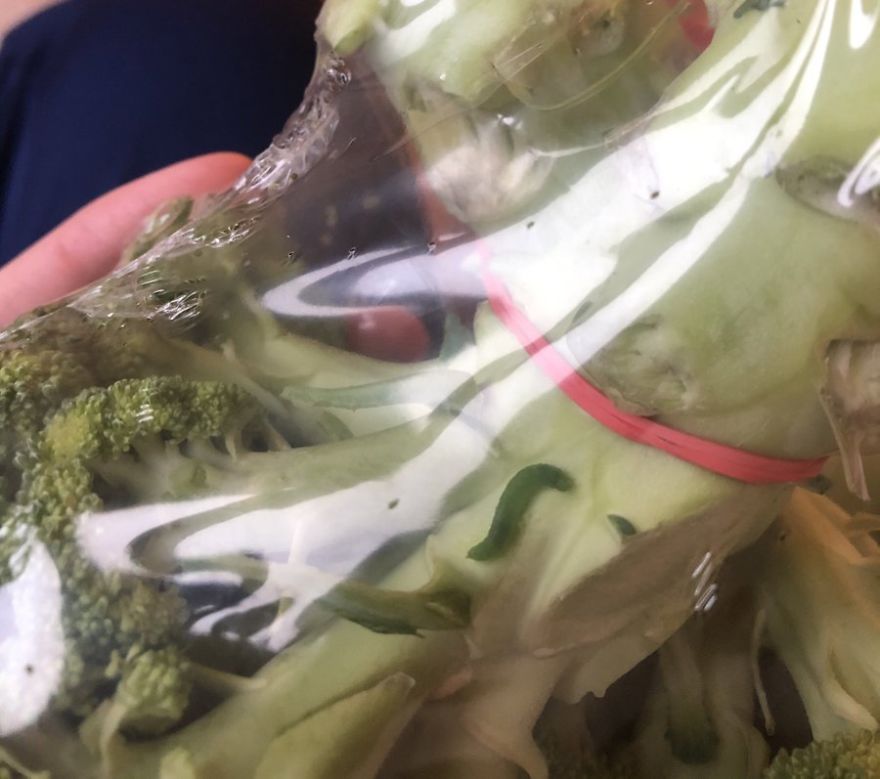 Man Found Caterpillars In His Broccoli And Let Them Turn Into Butterflies Man Found Caterpillars In His Broccoli And Let Them Turn Into Butterflies