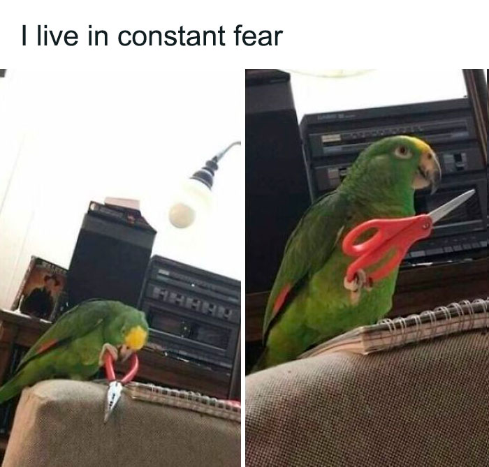Vivo con un miedo constante