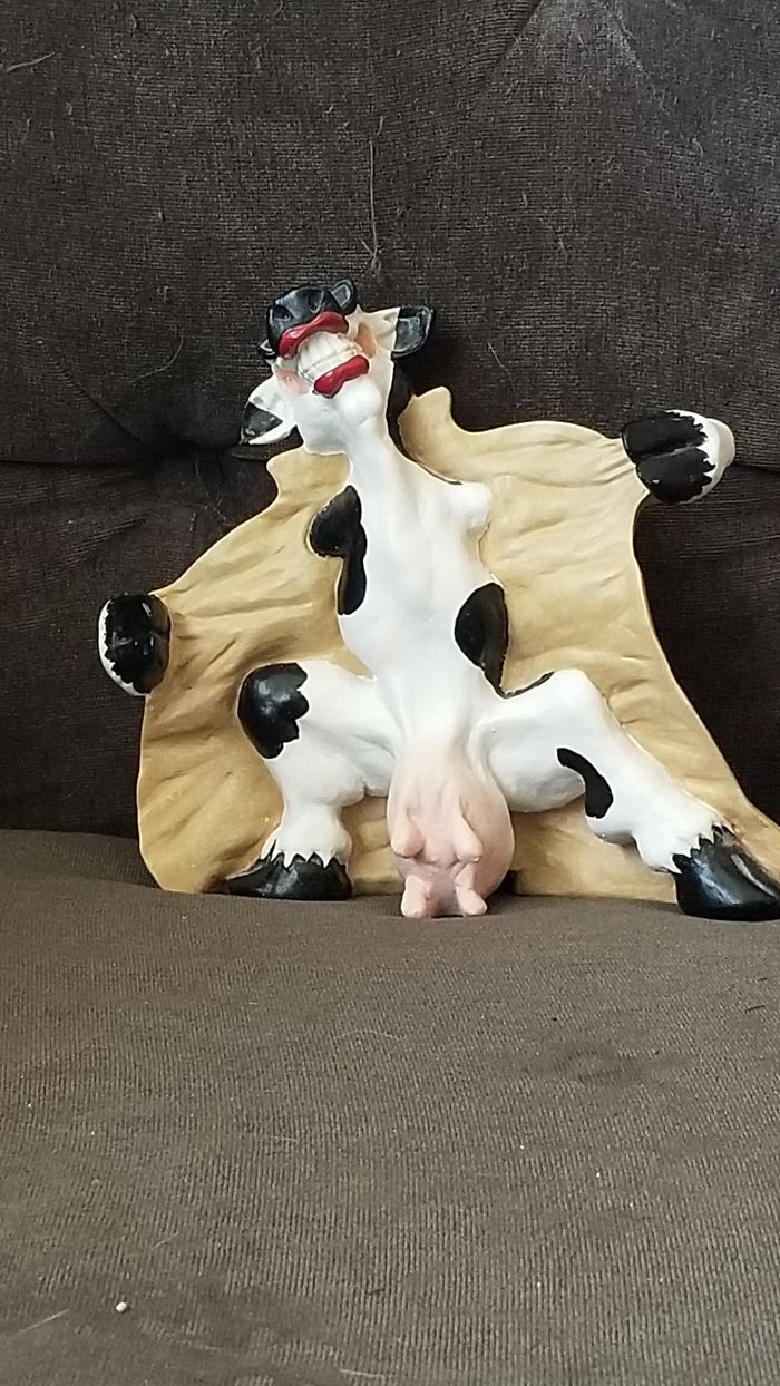 My Flashing Cow. One My Favorite Gifts From My Husband