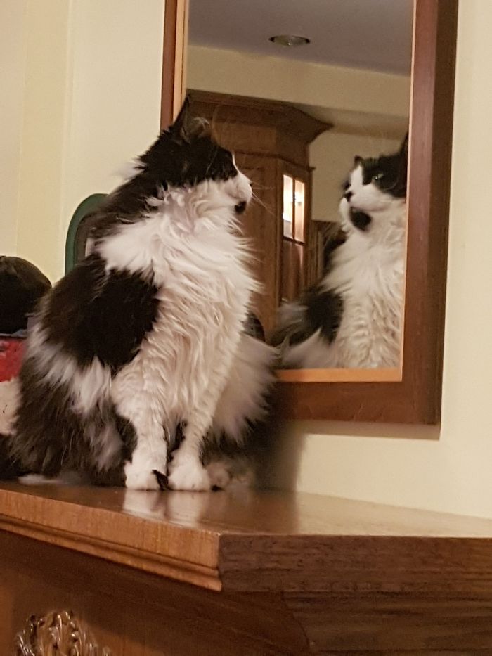 Looking In The Mirror