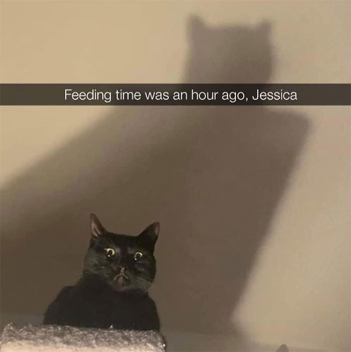 I Will Not Suffer This Indignity, Jessica