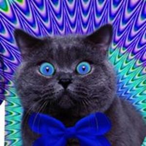 darkflameofwar avatar