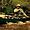 canoecamper avatar