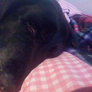 lisamcmillan13 avatar