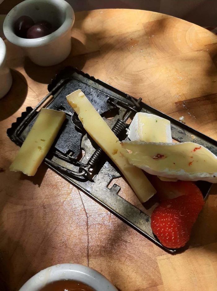 Cheese Served On A Mouse Trap