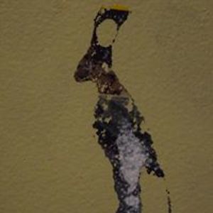 doloresmarusarz avatar