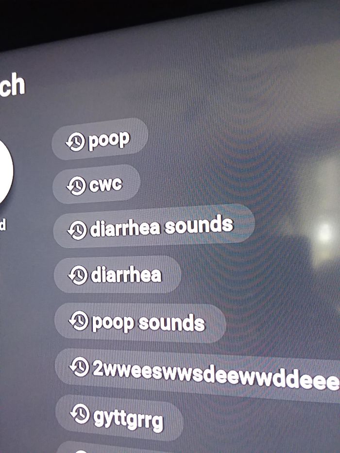 My 4-Year-Old Son's Search History