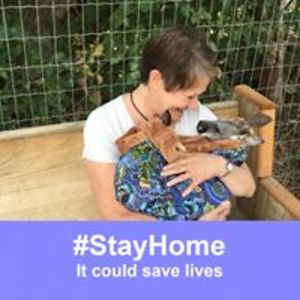 christine_l_roth avatar