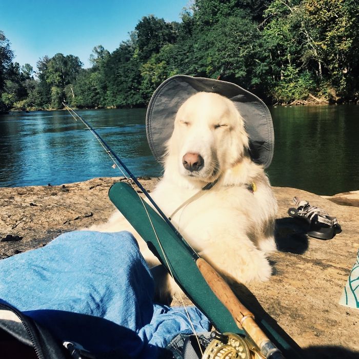 Dutchie Soaking Up The Sun On A Chill Day At The River