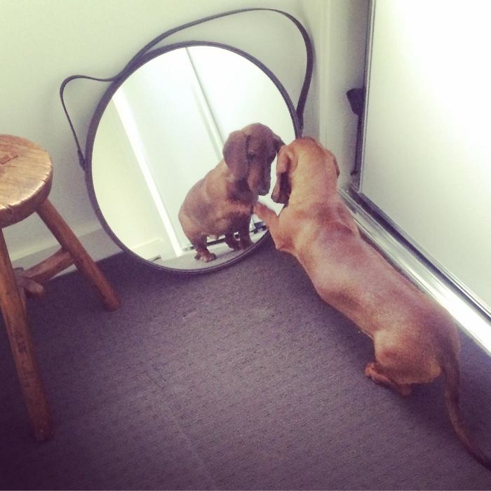 Longfellow Meeting Himself In The Mirror For The First Time.