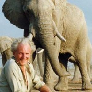 dswf