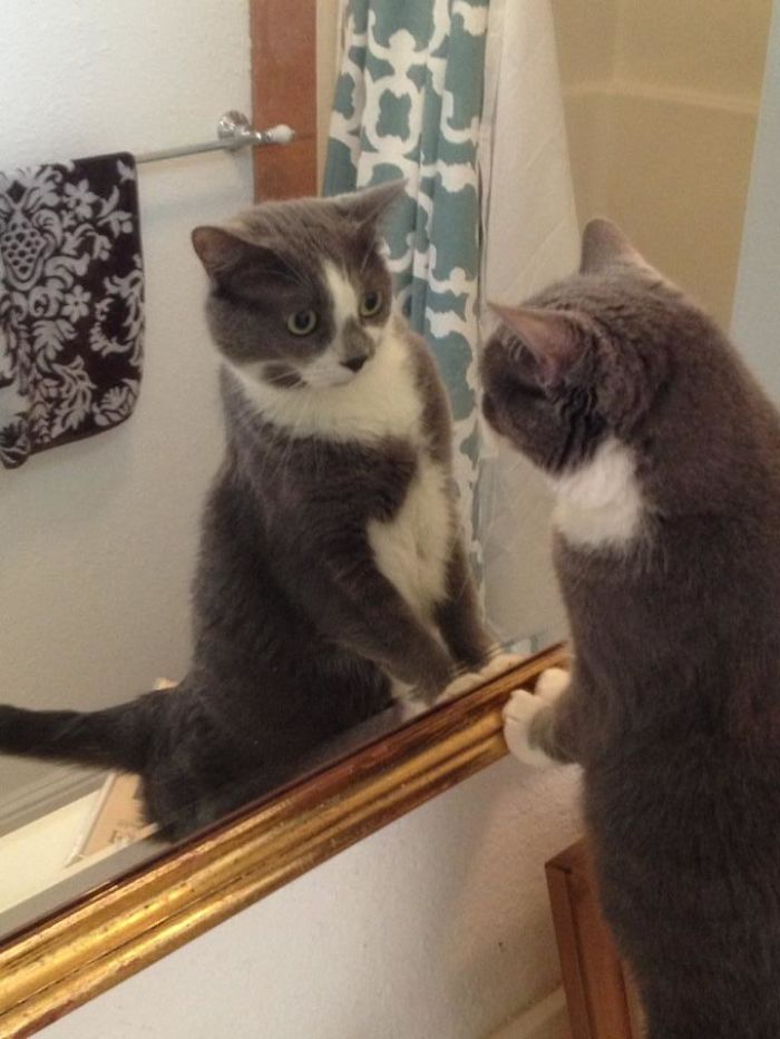 Chloe 'Mirin Herself In The Mirror