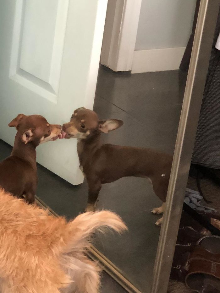 This Was The First Time She Saw Herself In The Mirror