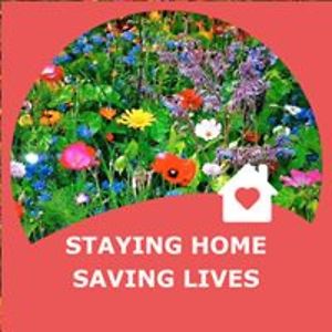 lloyd_gravelpatch avatar