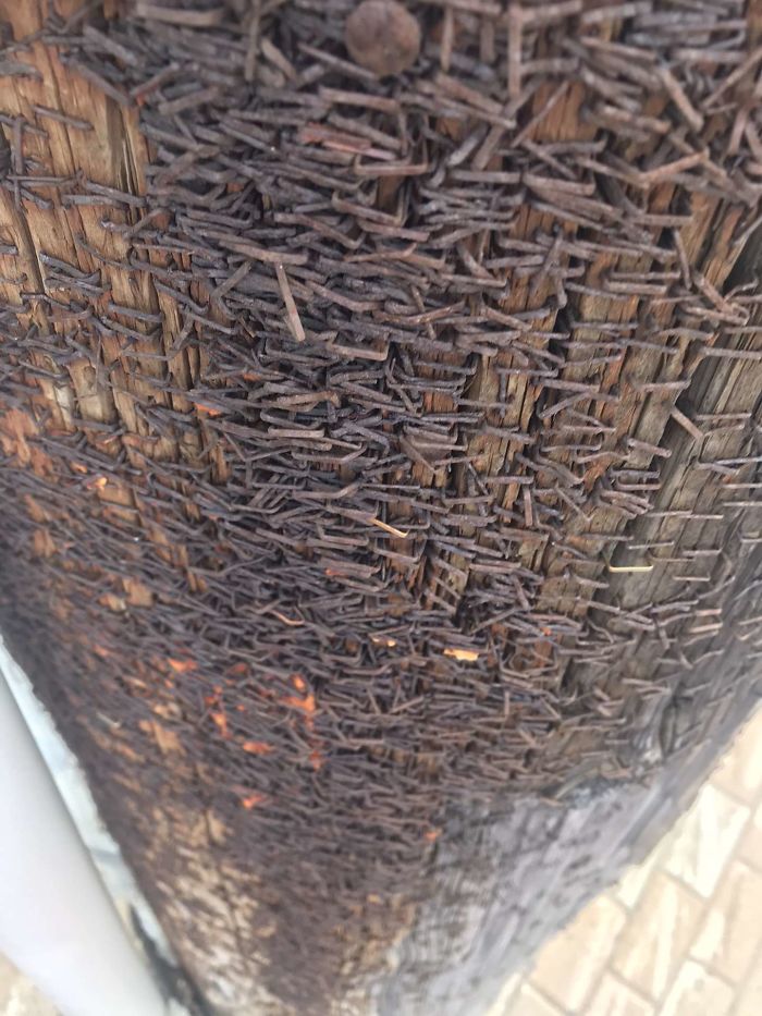 A Pole With Decades Of Staples From Flyer Bills