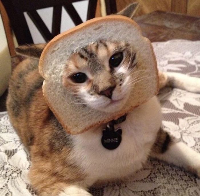 In-Bread Minnie