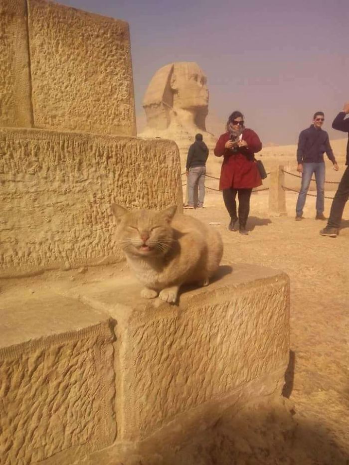 Look At Me, I Am The Sphinx Now